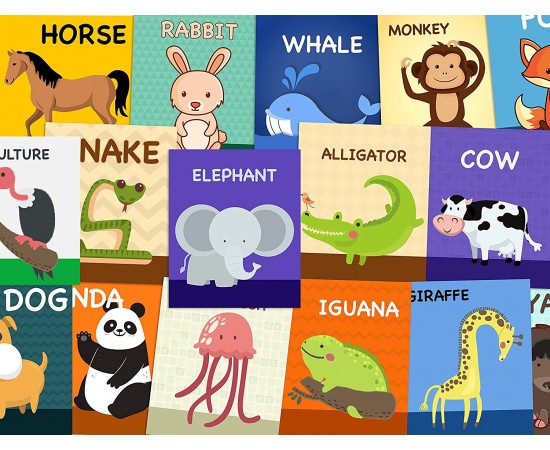 All About The  - A-Z Animals